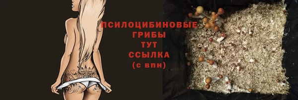 прущая мука Магас