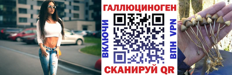 как найти   Дно  Псилоцибиновые грибы ЛСД 